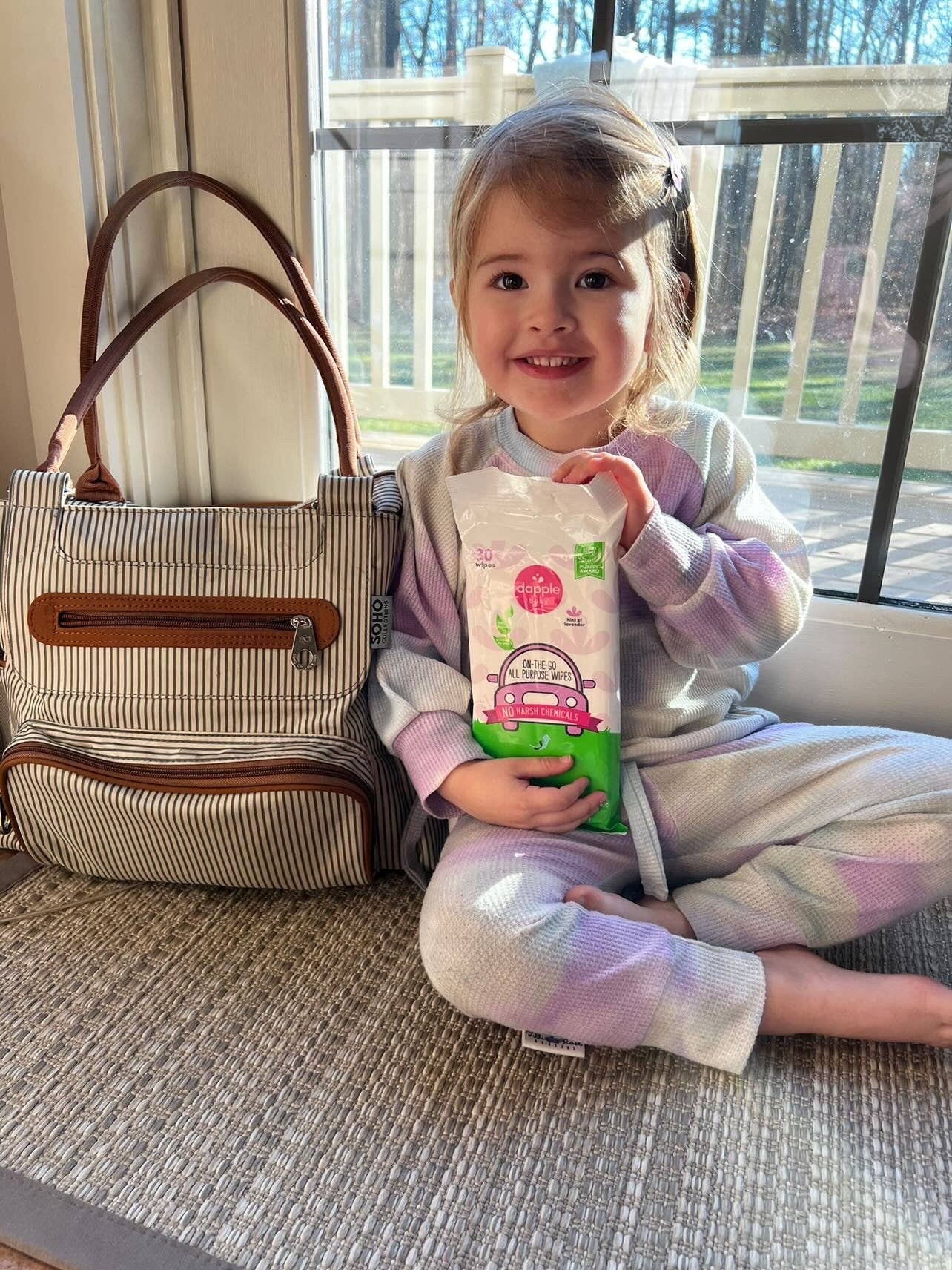 Dapple On the Go Wipes, Lavender, 30ct