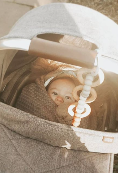 littleCHEW Car Seat Toy - Melrouge