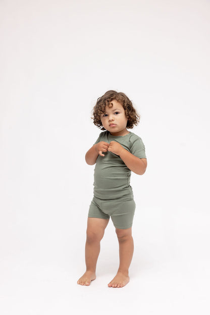 Wildbird Acadian CloudBlend™ Short Sleeve Pajamas Set