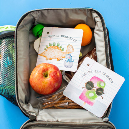 Curious Baby Lunchbox Love Notes
