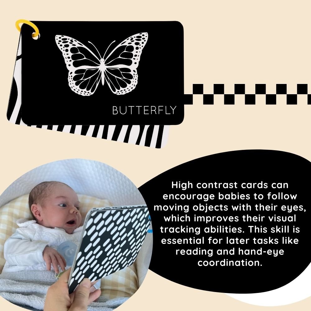 Curious Baby High-Contrast Vision Development Cards