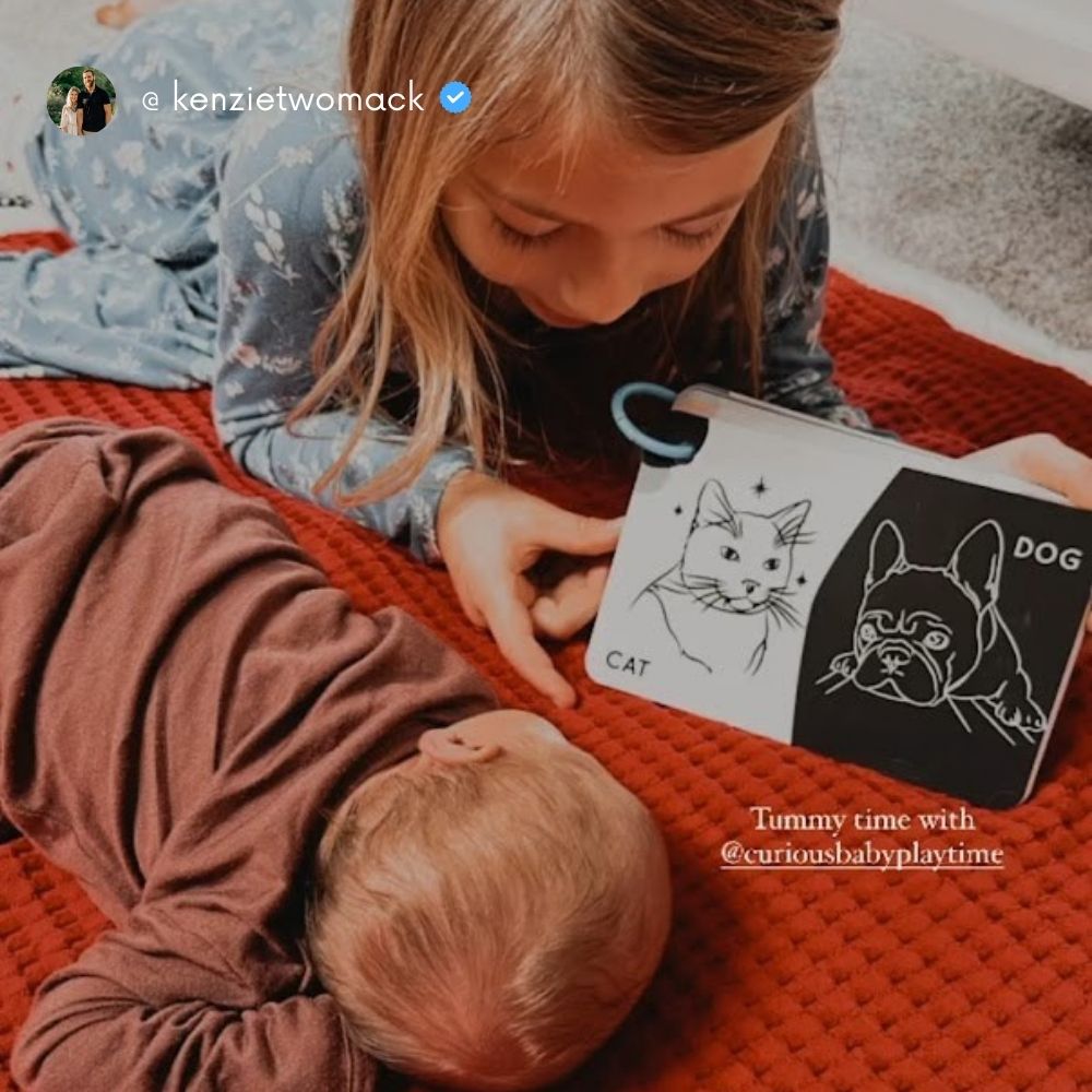 Curious Baby High-Contrast Vision Development Cards