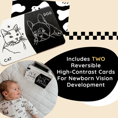 Curious Baby Activity Cards
