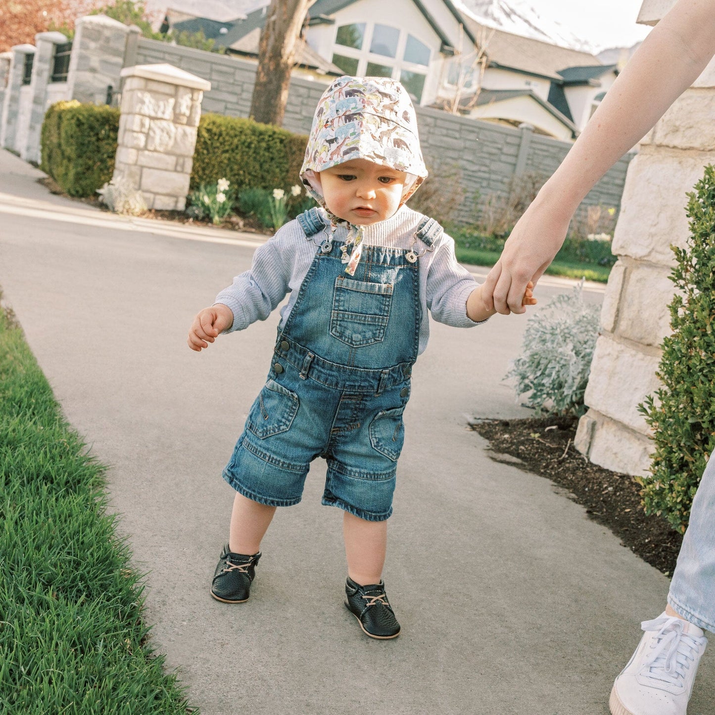 Freshly Picked Ebony Oxford Baby Shoe