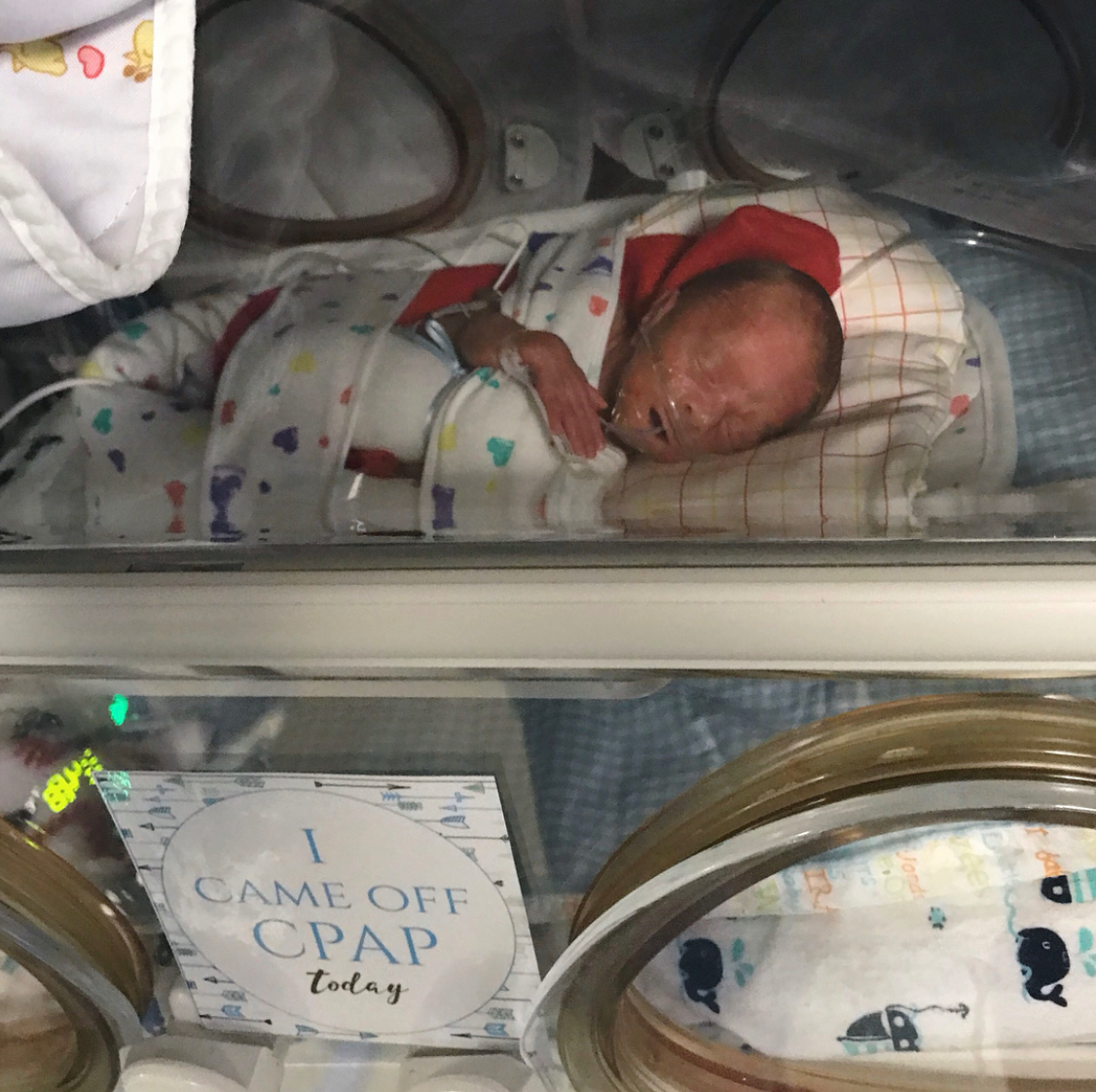 Three Little Tots Boy Preemie NICU Milestone Cards in Plastic