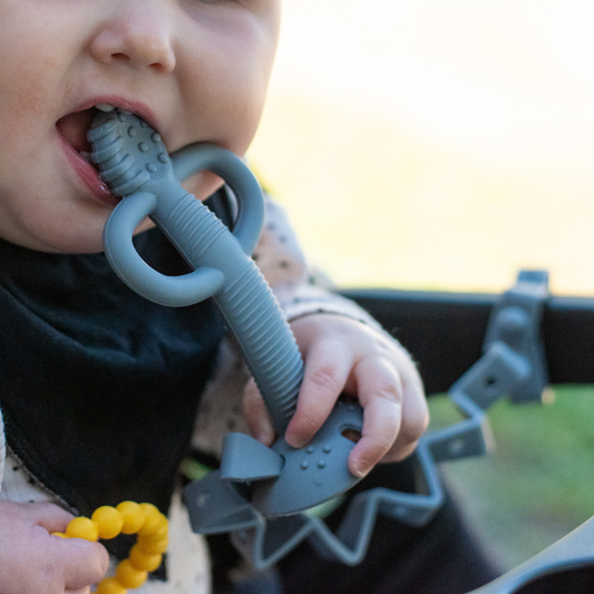 Busy Baby 2-in-1 Teether & Training Spoon