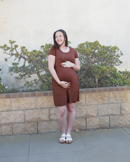 Kindred Bravely Eleanora Bamboo Maternity & Nursing Dress Redwood