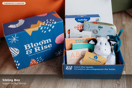 Bloom and Rise Sibling Box | Thoughtful Support for Big Siblings