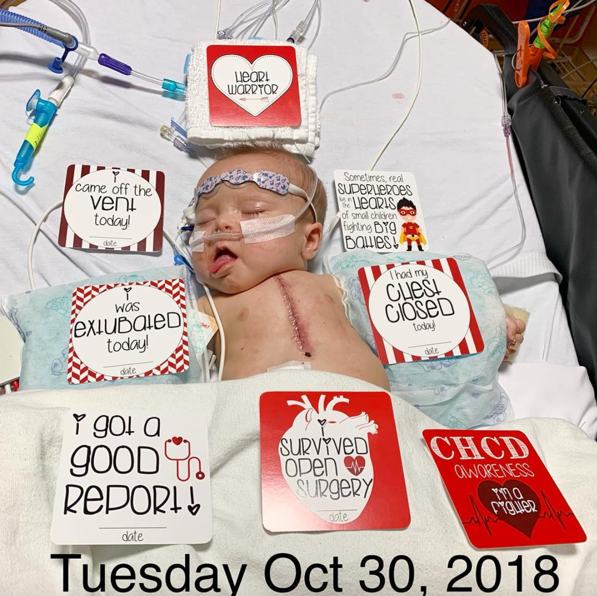 Three Little Tots CHD Heart Warrior Plastic Moment Cards
