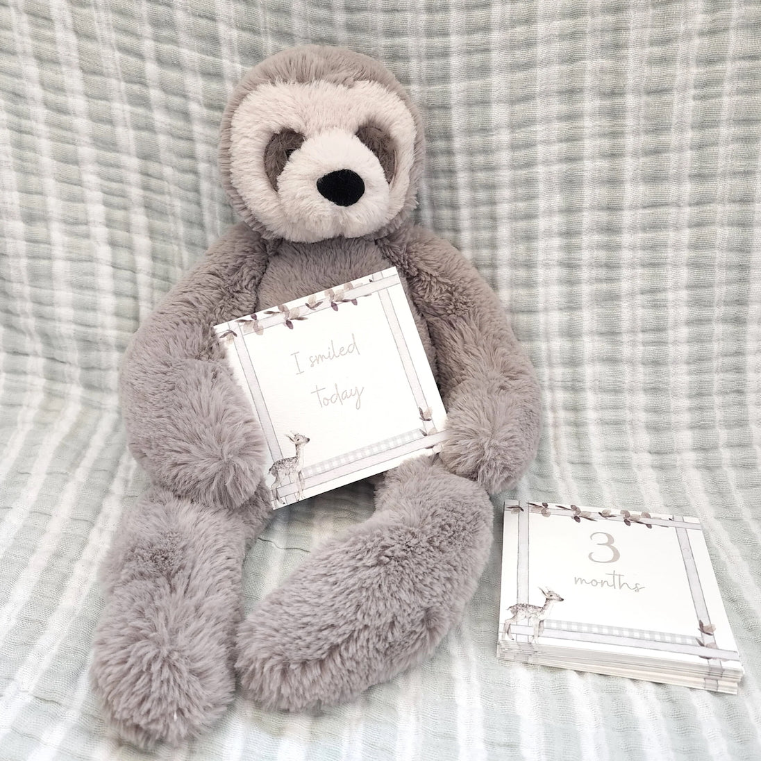 Curious Baby Infant Milestone + Memory Cards (0-12 Months)