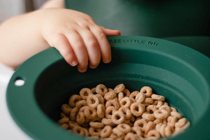 Three Little Tots Forest Green Collapsible Bowl for Travel or Home