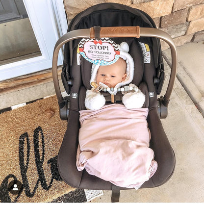 Three Little Tots Girl Zig Zag Please Don't Touch My Baby Car Seat Sign Tag