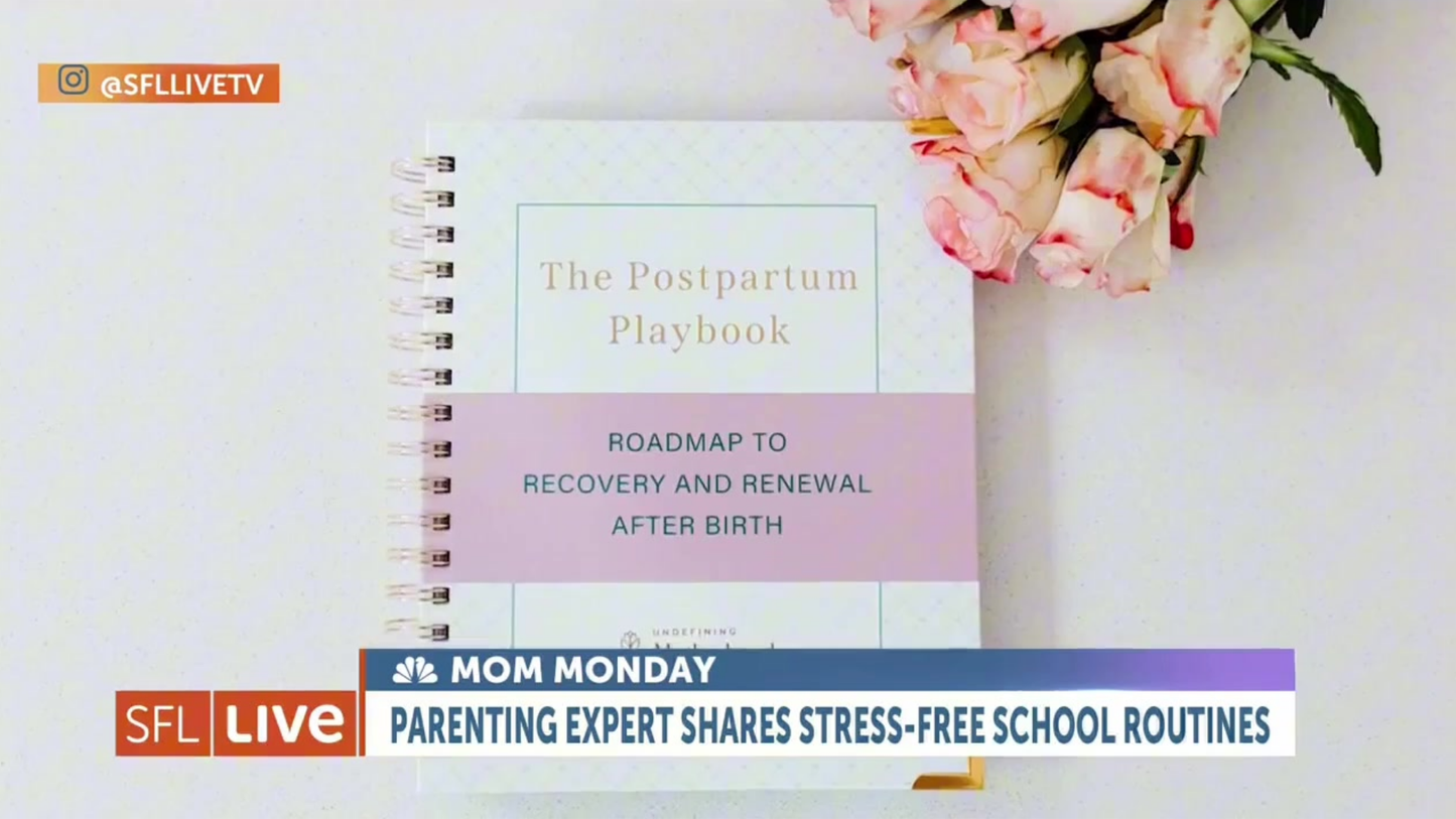 Undefining Motherhood The Postpartum Playbook - Roadmap to Recovery & Renewal After Birth