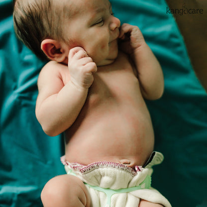 Kanga Care Bamboo Prefold Cloth Diapers (6-Pack) - Size 1: Newborn