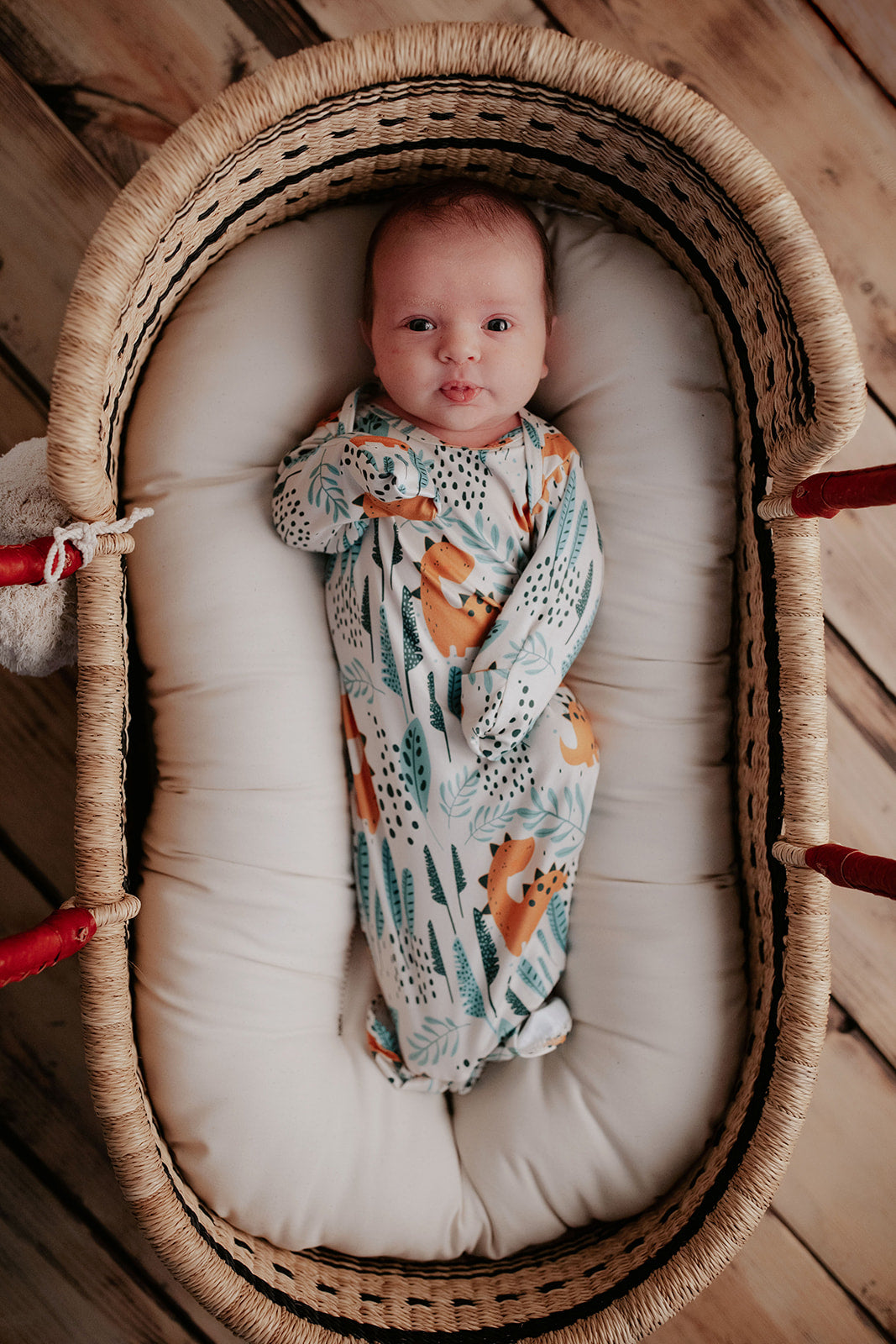 Three Little Tots Dinosaur Themed Newborn Knotted Gown