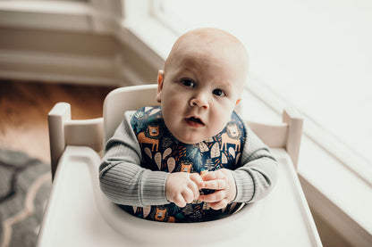 Three Little Tots Lion Silicone Bib with Crumb Catcher