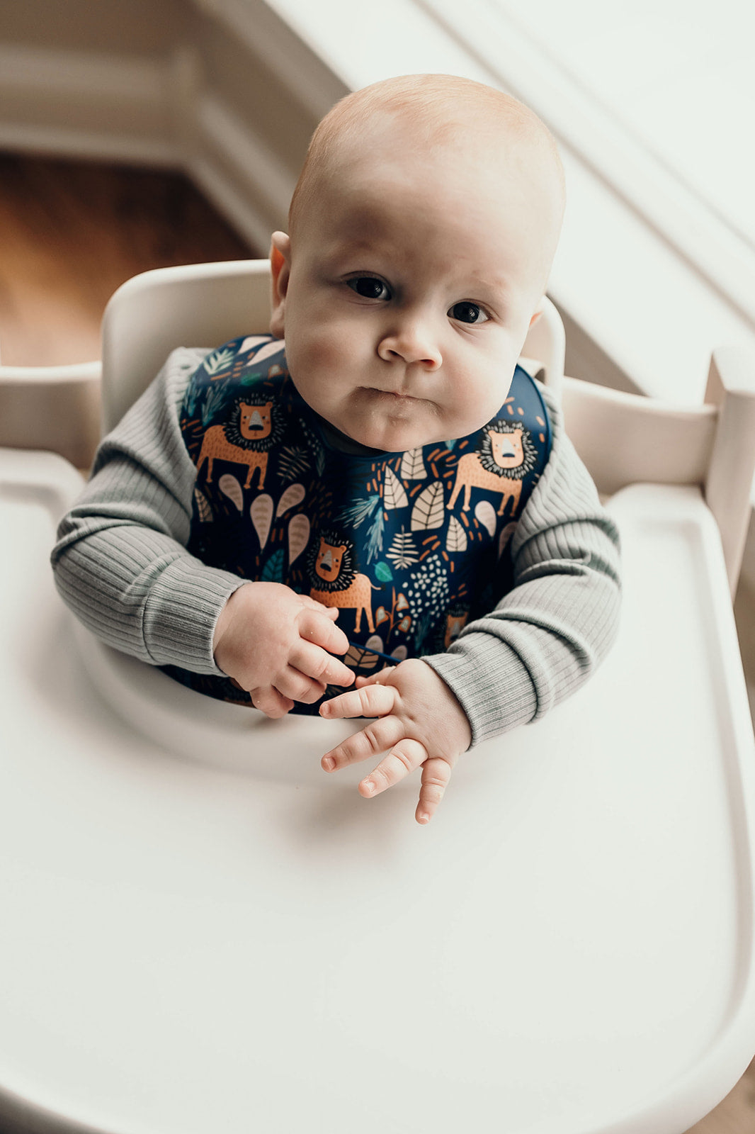 Three Little Tots Lion Silicone Bib with Crumb Catcher