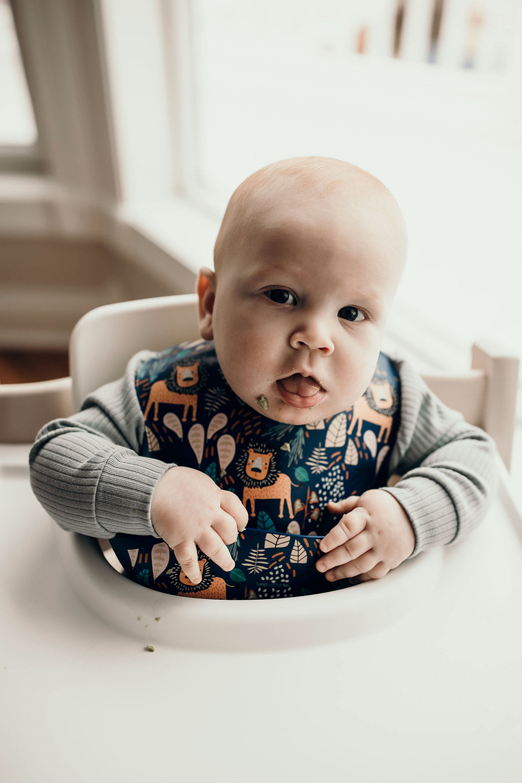 Three Little Tots Lion Silicone Bib with Crumb Catcher