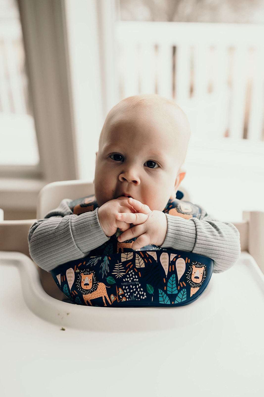 Three Little Tots Lion Silicone Bib with Crumb Catcher
