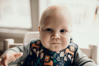 Three Little Tots Lion Silicone Bib with Crumb Catcher