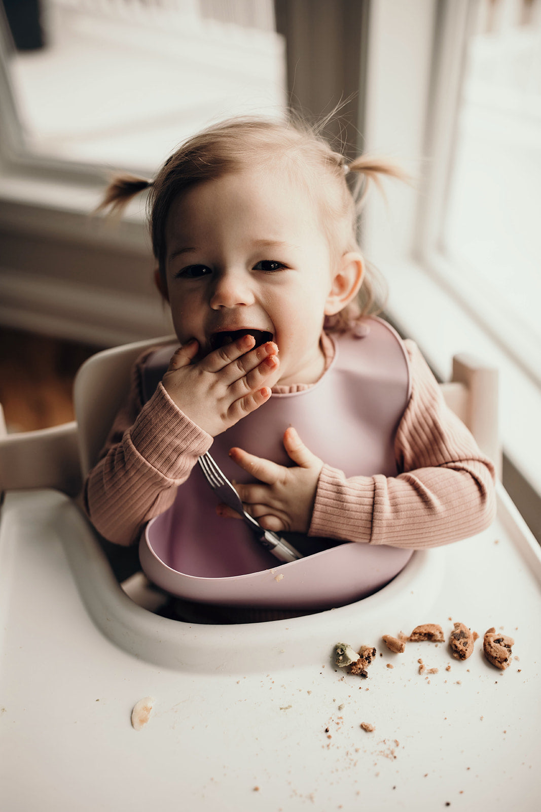 Three Little Tots Lilac Silicone Bib with Crumb Catcher