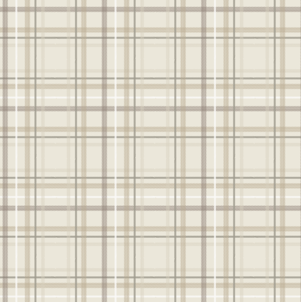 Saranoni Minky Stretch XL Throw Blankets