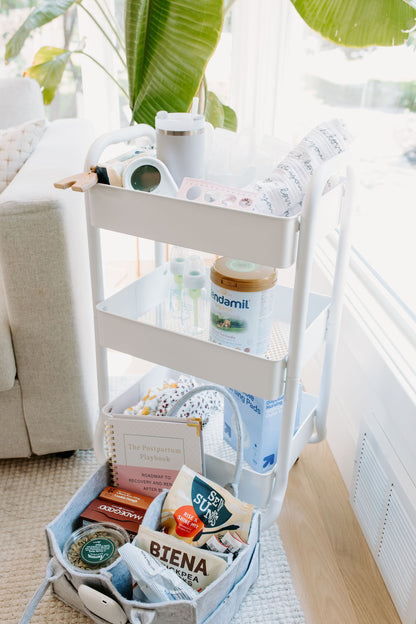 Undefining Motherhood The Postpartum Playbook - Roadmap to Recovery & Renewal After Birth
