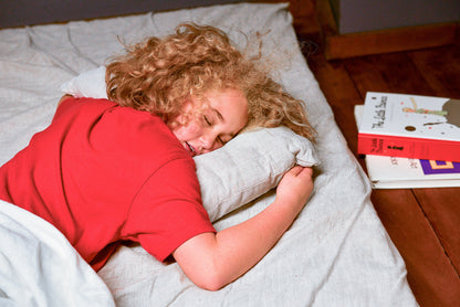 Wholesome Linen Organic Flax Toddler Pillow