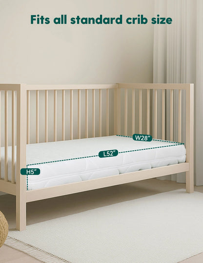 Babelio Air Nest | Ultra-Breathable 100% Washable Crib Mattress