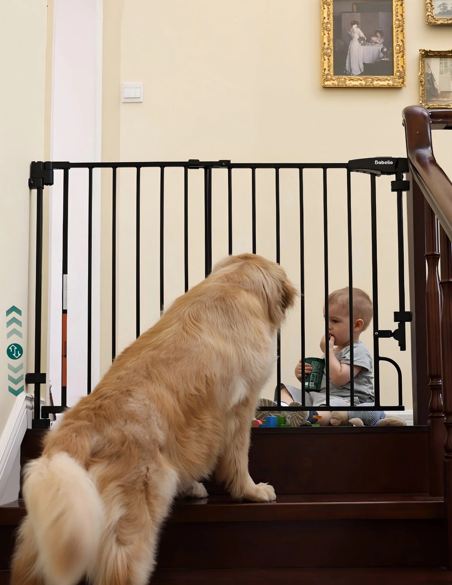 Babelio Boundless R30 ProFlex | Removable No-Trip Baby Gate