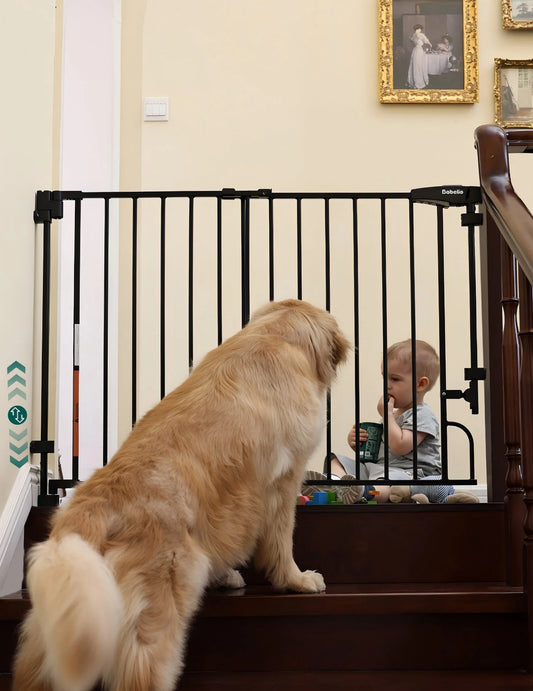 Babelio Boundless R30 ProFlex | Removable No-Trip Baby Gate