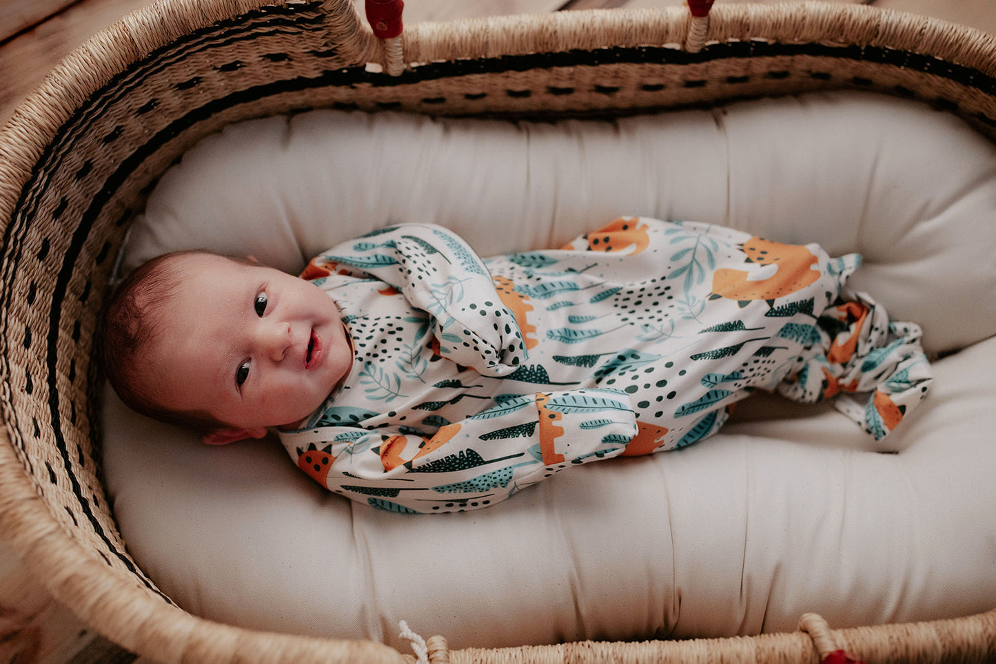 Three Little Tots Dinosaur Themed Newborn Knotted Gown