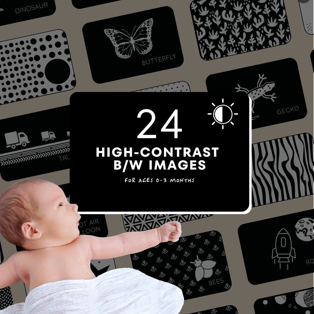 Curious Baby High-Contrast Vision Development Cards
