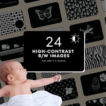 Curious Baby High-Contrast Vision Development Cards