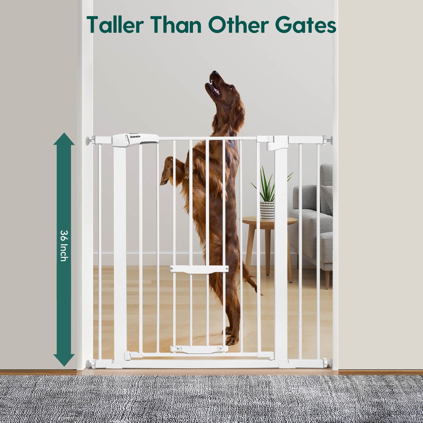 Babelio CatPrivilege F7 | Large Sliding Pet Door Baby Gate