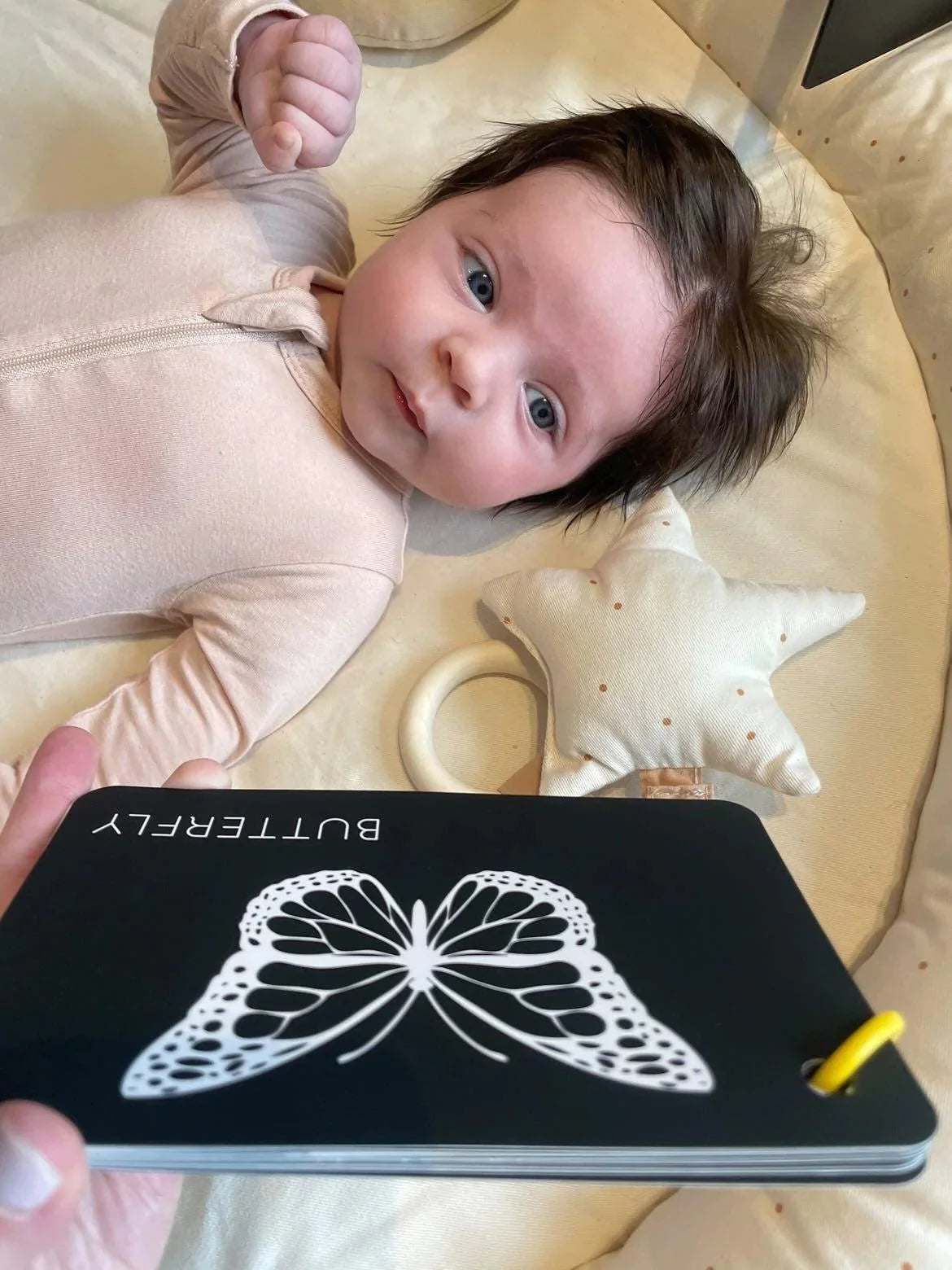 Curious Baby High-Contrast Vision Development Cards