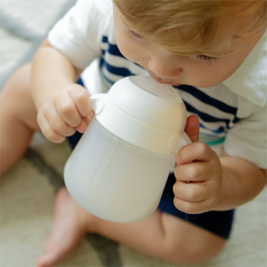 Nanobébé Flexy Bottle Quick-Click Handles (2pk)
