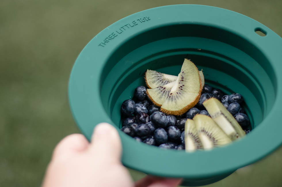 Three Little Tots Forest Green Collapsible Bowl for Travel or Home