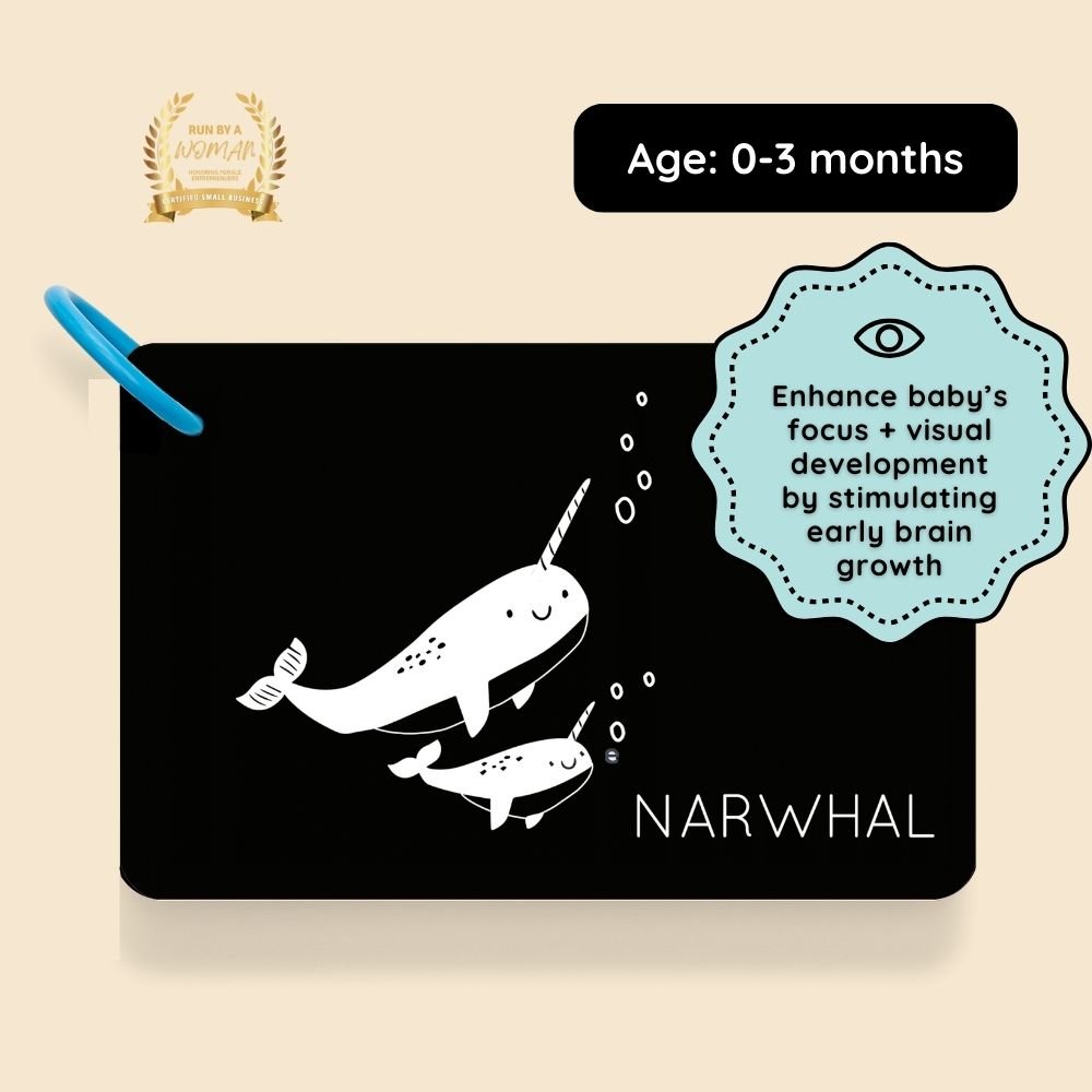 Curious Baby High-Contrast Vision Development Cards