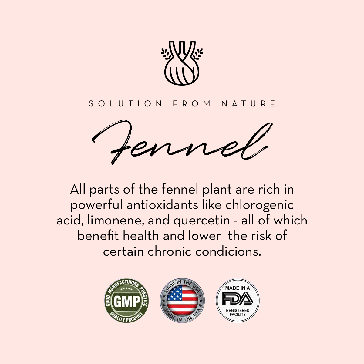 The Spoiled Mama Lactation Support Supplement - Increase Milk Supply Naturally