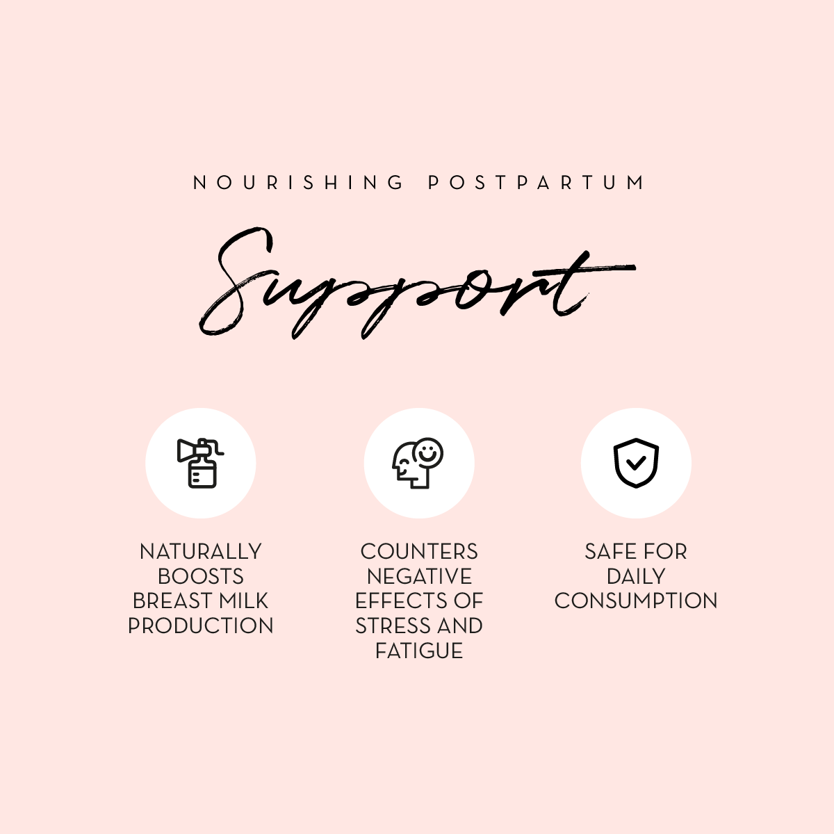 The Spoiled Mama Lactation Support Supplement - Increase Milk Supply Naturally