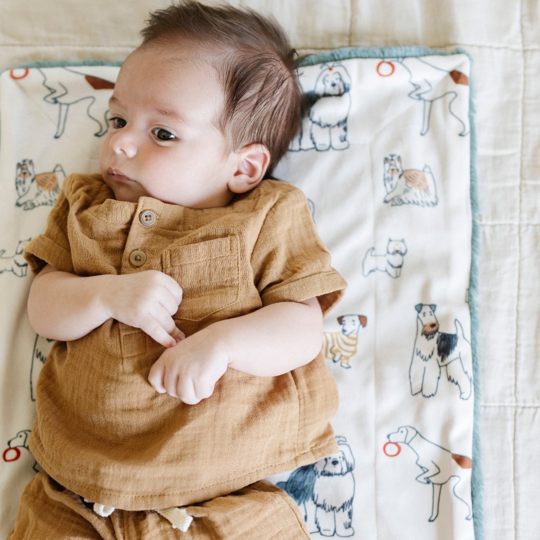 Saranoni Minky/Lush Mini Blankets