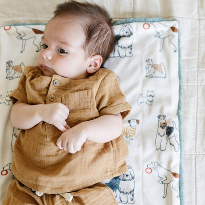 Saranoni Minky/Lush Mini Blankets