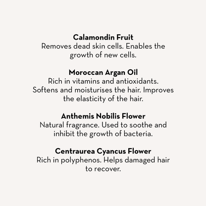 The Spoiled Mama Hair Mask Scalp Treatment & Miracle Shampoo - 3-in-1 Hydrating Hair Care