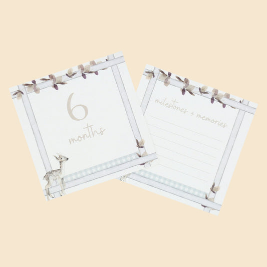 Curious Baby Infant Milestone + Memory Cards (0-12 Months)
