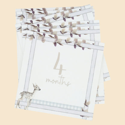 Curious Baby Infant Milestone + Memory Cards (0-12 Months)