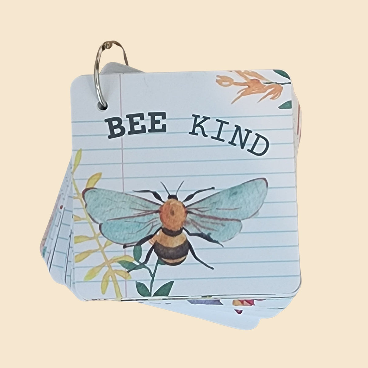 Curious Baby Lunchbox Love Notes