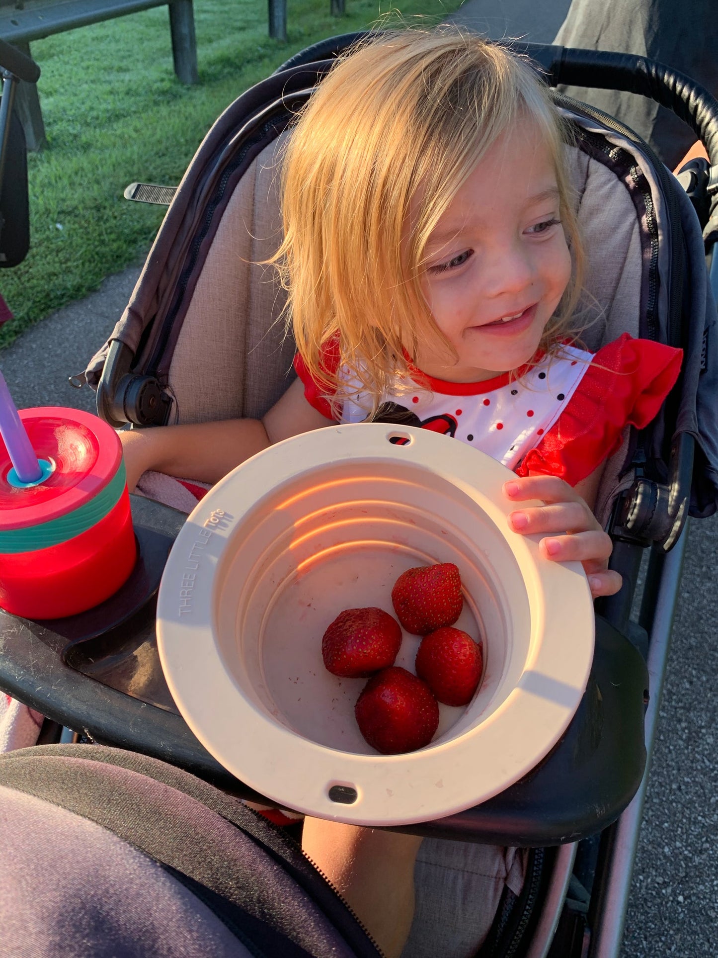 Three Little Tots Sugar Cookie Collapsible Bowl for Travel or Home